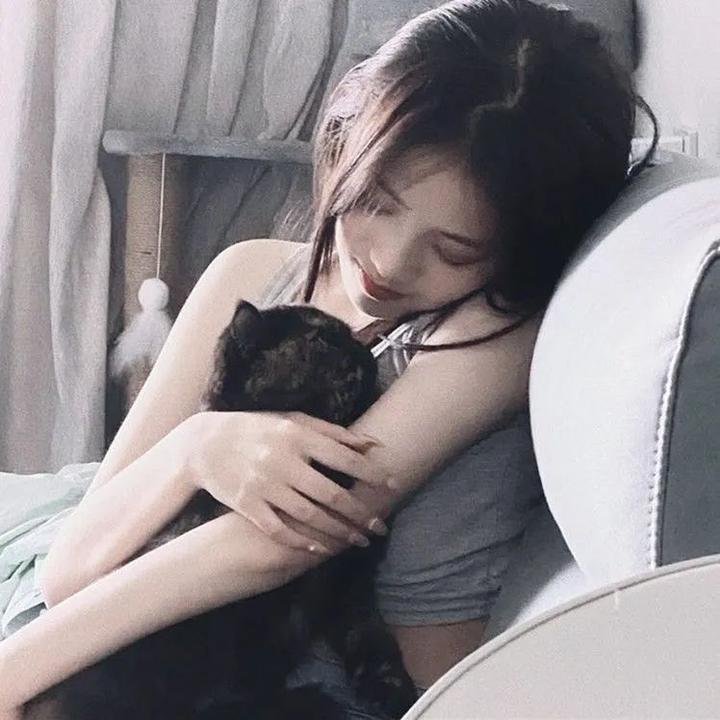 绿箭侠第七季